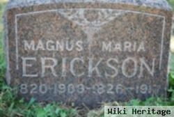 Magnus Erickson