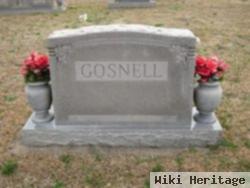 Rev William Poinsett Gosnell, Jr