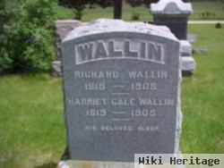 Harriet Gale Wallin