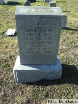 David Bauer