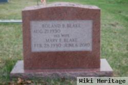 Mary E. Blake