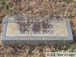 Lizzie Kate Perkins