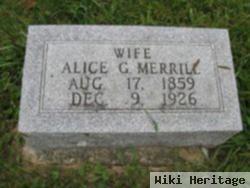 Alice G Stewart Merrill