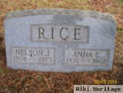 Nelson J Rice