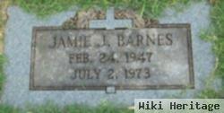 Jamie J Barnes