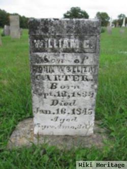 William C Carter