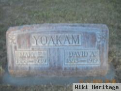 David Albert Yoakam