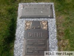 Verner Paul Diehl