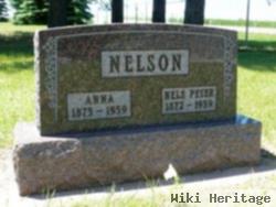 Nels Peter Nelson