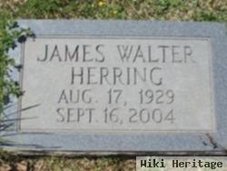 James Walter Herring