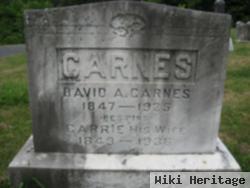 David A Carnes