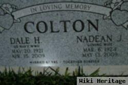 Dale H Colton