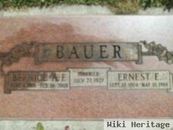 Ernest Earl Bauer