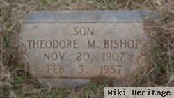 Theodore M Bishop