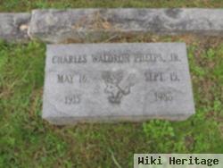 Charles Waldron Phelps, Jr