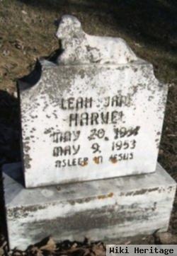 Leah Jane Harvel