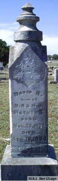 David R Mathews