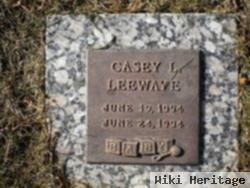 Casey L. Leewaye