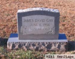 James David Gay