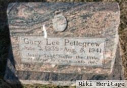 Gary Lee Pettegrew