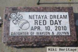 Nataya Dream Red Day