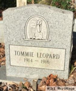 Tommie Leopard