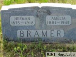 Herman Bramer