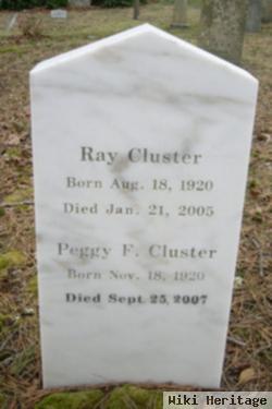 Ray Cluster