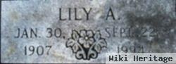 Lily A. Randolph