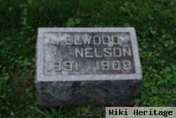 A Elwood Nelson