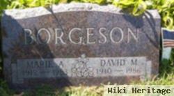 David Marshall Borgeson