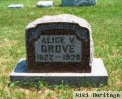 Alice V Grove