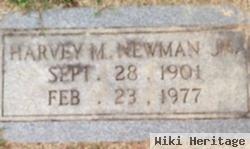 Harvey M Newman, Jr