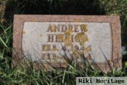 Andrew David Heirigs