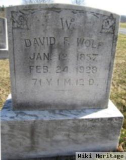 David F Wolf