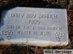 Infant Son Branch