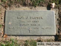 Roy J Fauser