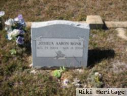 Joshua Aaron Monk