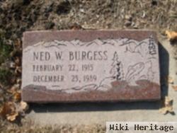 Ned Wesson Burgess