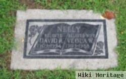 David R. Neely