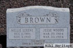 Nellie Lerene Brown