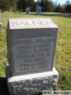 Elizabeth Ann Manley Walker