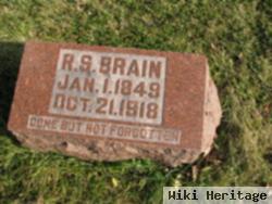 R. S. Brain