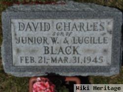 David Charles Black