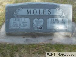 Erma Arlene Hillgren Moles