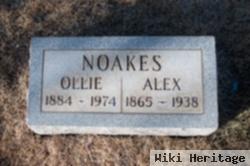 Alexander Noakes