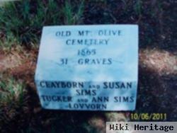 Clayborn Sims, Jr