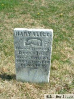 Mary Alice Dressler