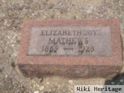 Hulda Elizabeth "lizzie" Joy Matthews