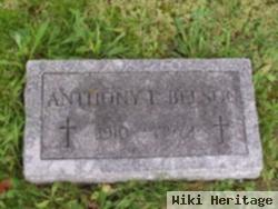 Anthony F Belson